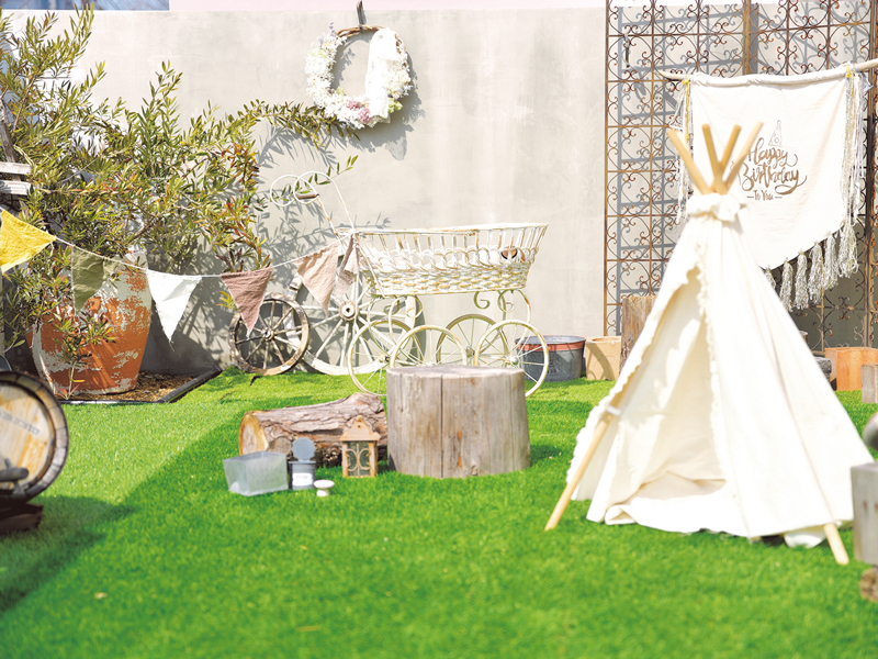 ペット専用フォトスタジオがOPEN！