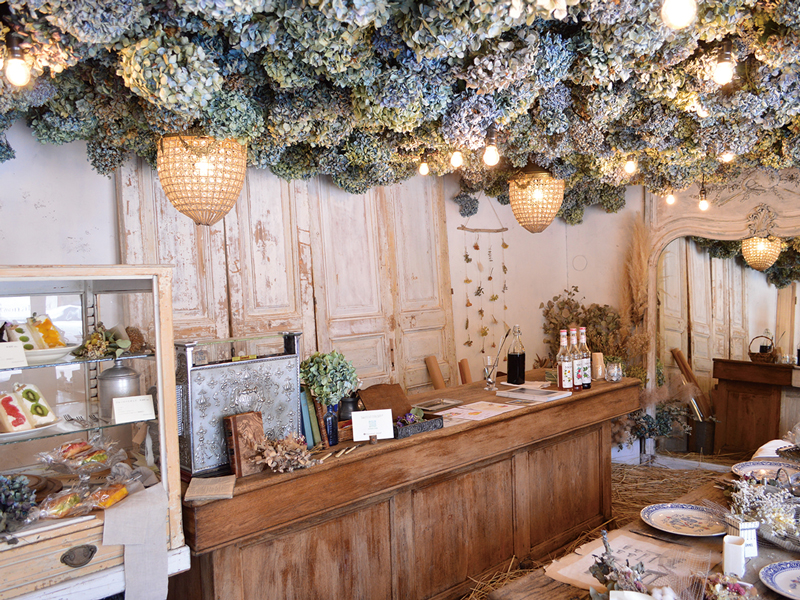 紫雲出山の美しい紫陽花をドライフラワーに蘇らせて販売！