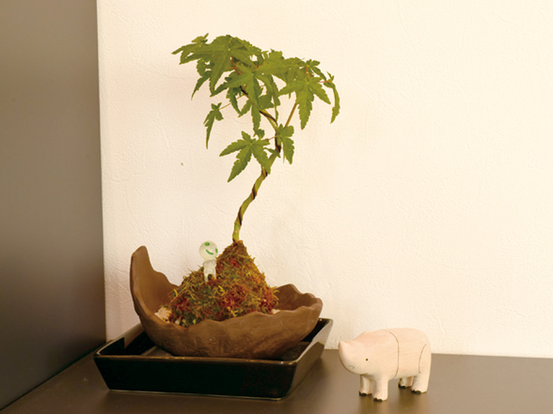 鬼無町にヘアサロンがOPEN！