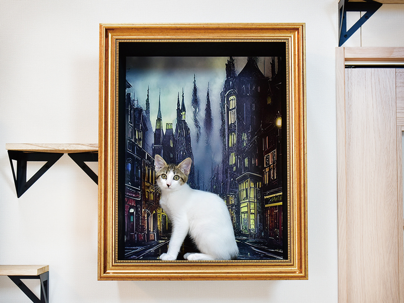 愛らしい猫とのふれあいや こだわりの食事が味わえるカフェ