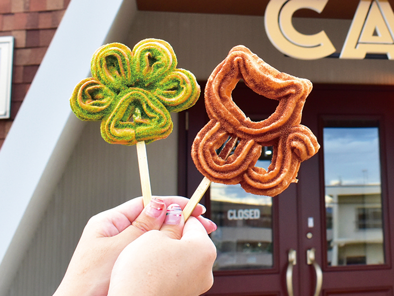 愛らしい猫とのふれあいや こだわりの食事が味わえるカフェ