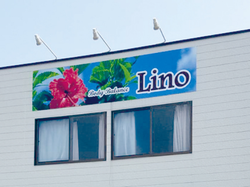 自己免疫機能で回復できるようになる『Body Balance Lino』