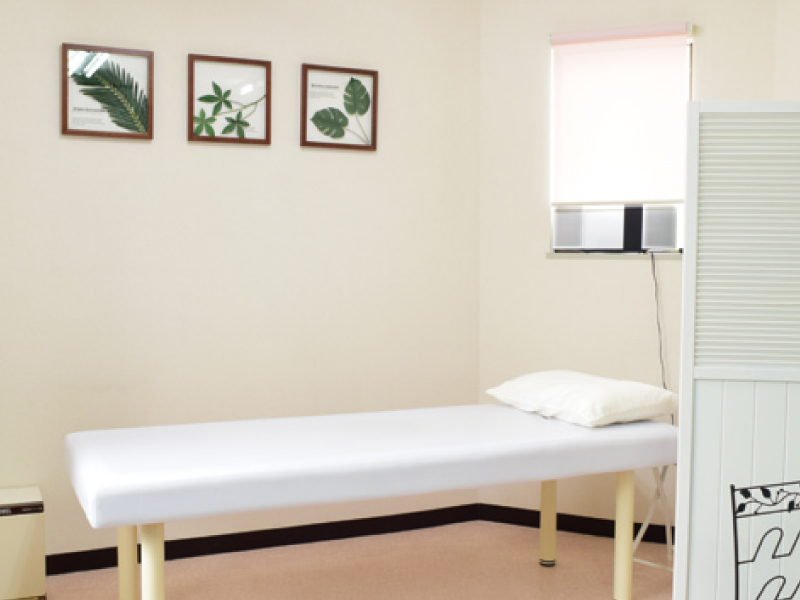 自己免疫機能で回復できるようになる『Body Balance Lino』