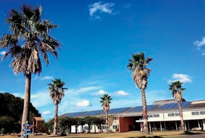 『Sun Café　サンカフェ』香川が誇るオリーブ豚の旨味を凝縮！丼からはみ出す柔らか角煮を堪能！！