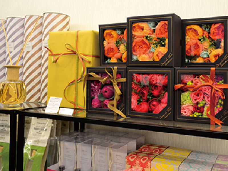 「Lifestyle Design COLORS」品質と機能性を備えた素敵なインテリアと出会えるShop