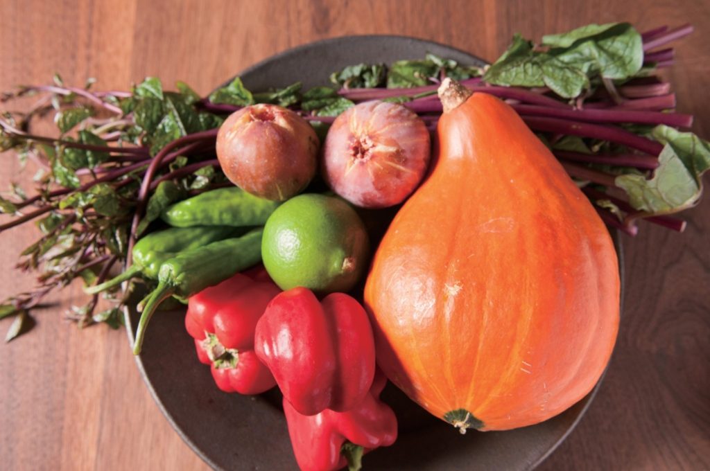 四季の移ろいを食事で堪能、穏やかな時間の流れを満喫