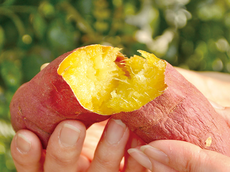 壷焼きさつまいもスイーツのお店がOPEN！