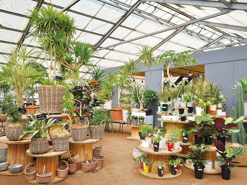 個性的な観葉植物や植木鉢に出合える“コミュニティガーデン”が鬼無町に誕生