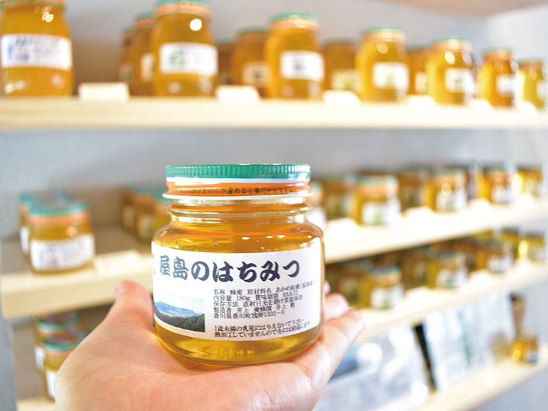 屋島山上の『れいがん茶屋』が待望のリニューアルOPEN!