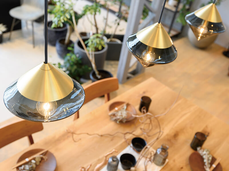 珍しいグリーンや家具・雑貨を扱うライフスタイルShopが誕生!