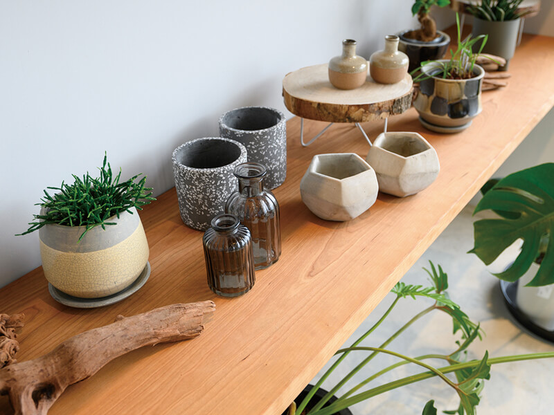 珍しいグリーンや家具・雑貨を扱うライフスタイルShopが誕生!