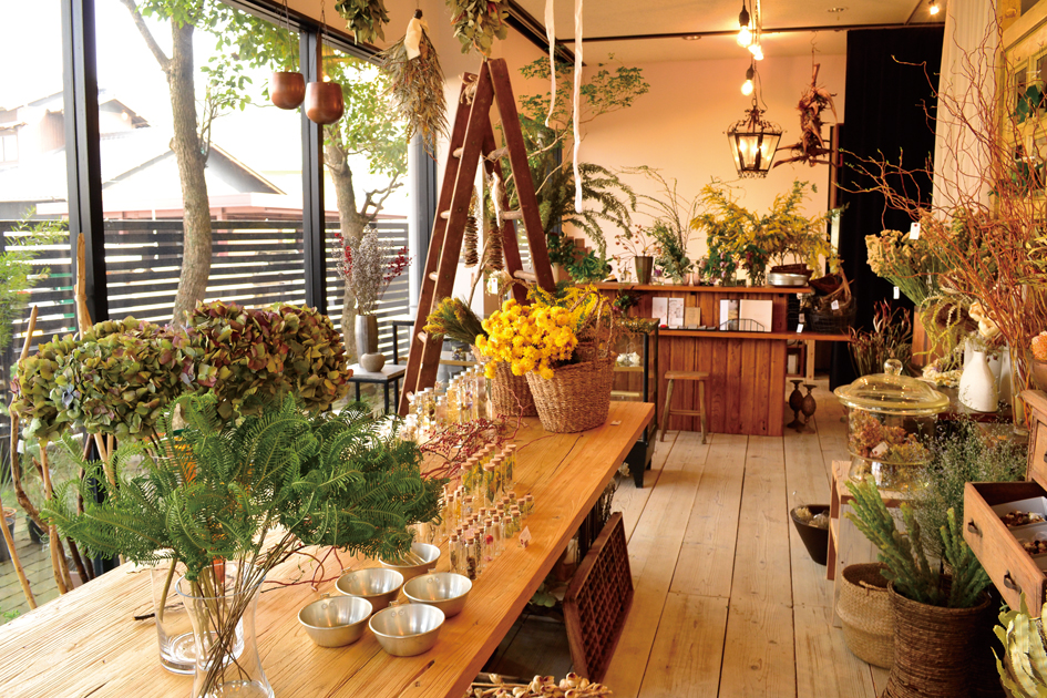 四季を愛でる植物屋『-ryoku-』が『UTSUMIoriental』に移転OPEN
