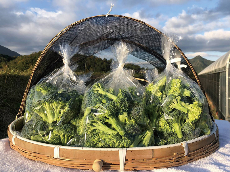 生活にゆとりと彩りを届けてくれる無人販売所