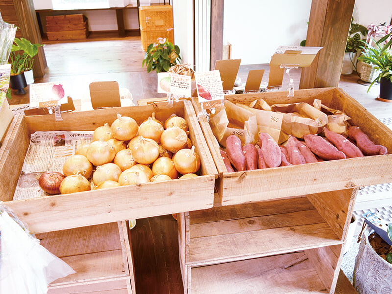 地域に幸せを届ける八百屋『sanukis』の2号店が林町にOPEN!