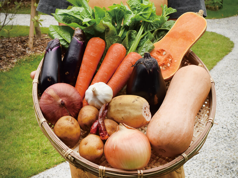 地域に幸せを届ける八百屋『sanukis』の2号店が林町にOPEN!