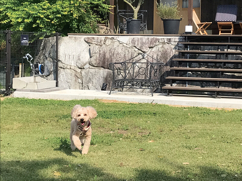 千疋の広大な土地にニュースポットが誕生!人と地域が繋がり集う場所