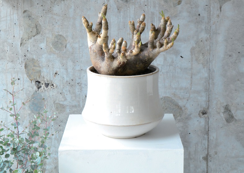 シンプルかつ個性を感じるライフスタイル♪丁寧な暮らしを提案するShopがOPEN