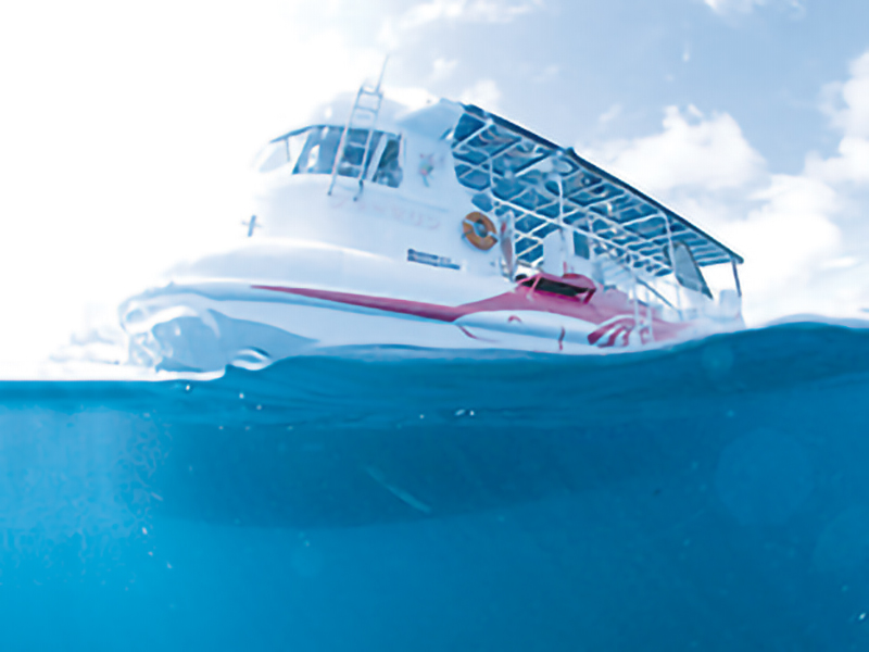 四国をくるりと楽しみ尽くす便利な観光用アプリが登場！