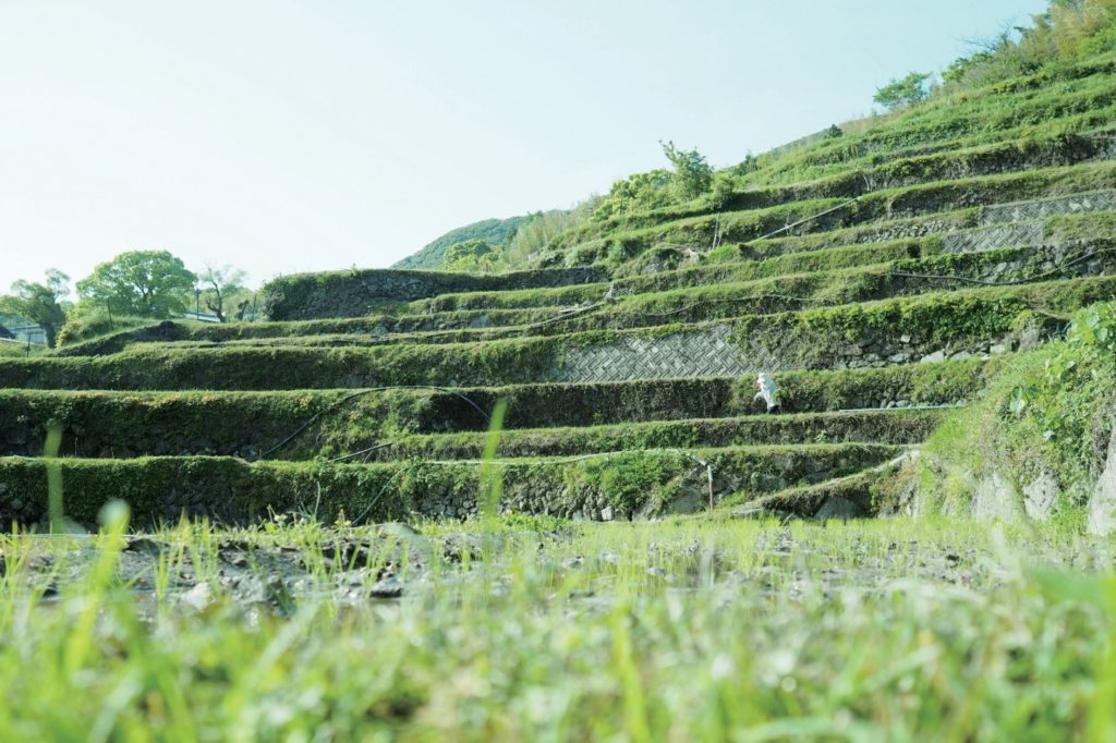 見て、食べて、買って、知って・・・島旅がますます楽しくなる！