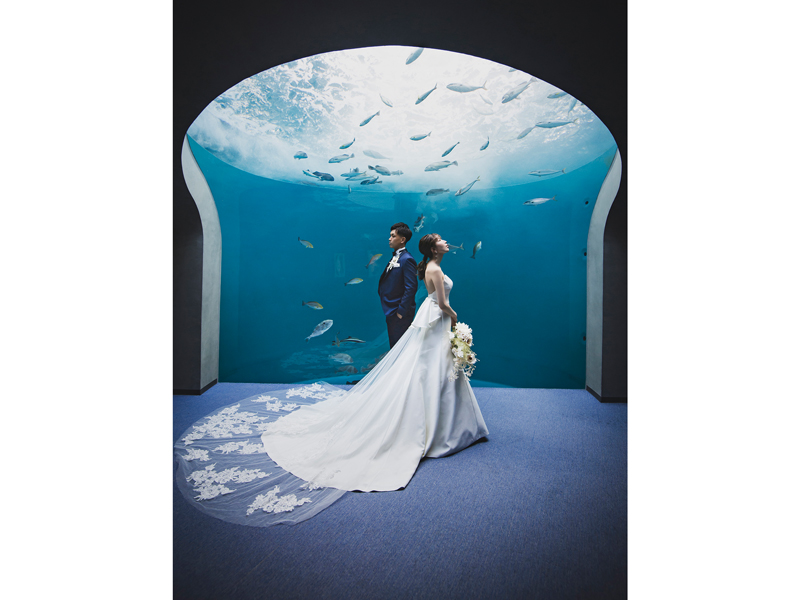 『四国水族館』美しい水中世界が広がる「四国水族館」でウエディングセレモニーがスタート!【香川県綾歌郡宇多津町】