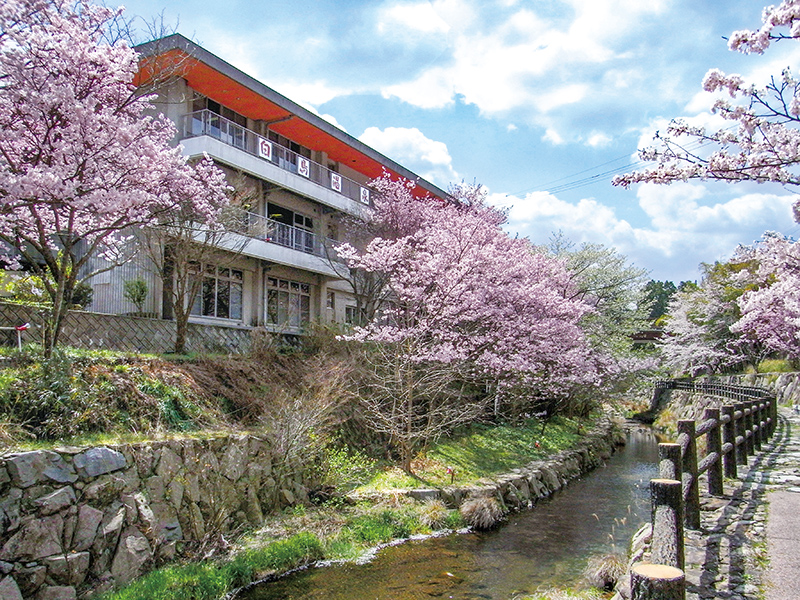 『白鳥温泉』美しい山と川に囲まれた、知る人ぞ知る秘湯