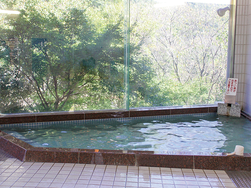 『白鳥温泉』美しい山と川に囲まれた、知る人ぞ知る秘湯