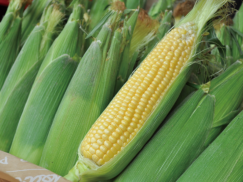 採れたての美味しさを農園から直送!オーガニック野菜が並ぶキッチンカー