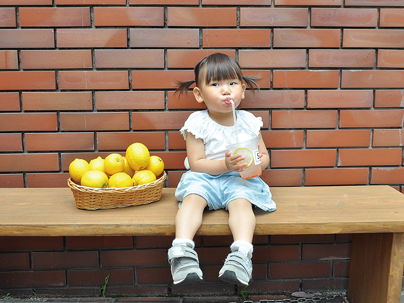 採れたての美味しさを農園から直送!オーガニック野菜が並ぶキッチンカー
