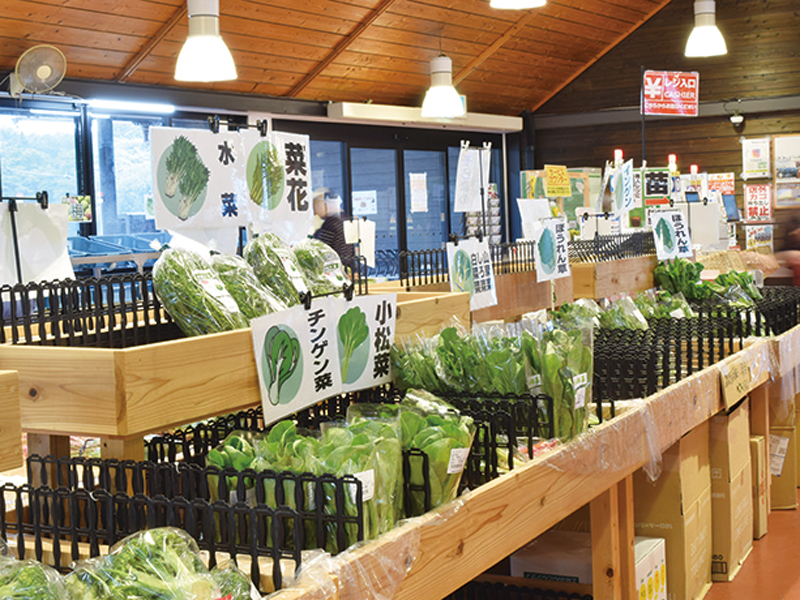 『道の駅 たからだの里さいた』地元の恵みが集まる「たからだの里さいた」で 五感で感じる夏を愉しんで【香川県三豊市財田町】