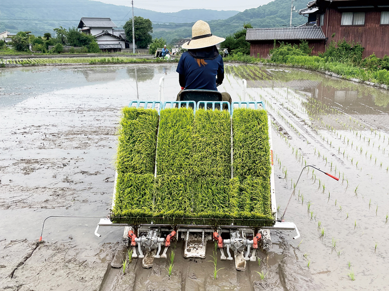 『おにぎり処 田んぼ』坂出･王越エリアのNEWスポットで楽しむ ほっこり美味しい手作りおにぎり【香川県坂出市王越町】