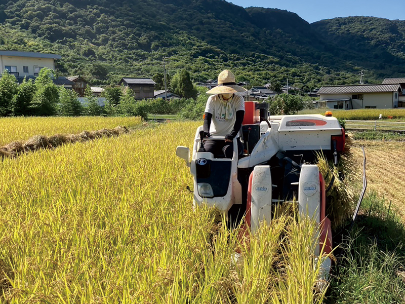 『おにぎり処 田んぼ』坂出･王越エリアのNEWスポットで楽しむ ほっこり美味しい手作りおにぎり【香川県坂出市王越町】