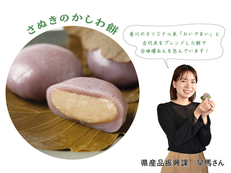 『さぬきのまるごと中華ちまき･さぬきのかしわ餅･さぬきの和ちまき』端午の節句は香川の美味しさ詰まった 特別なちまきとかしわ餅を
