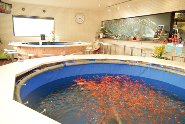 『つりぼりCafe ピラルク　ツリボリカフェ ピラルク』　室内で釣りを満喫できるカフェ