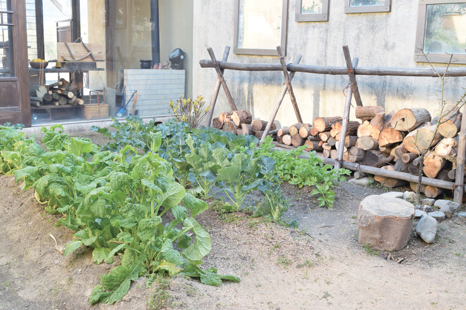 『讃岐地人食堂旬菜　汐さぎ！庵』どこか懐かしい風景を眺めながら地産地消の贅沢ランチコースを堪能