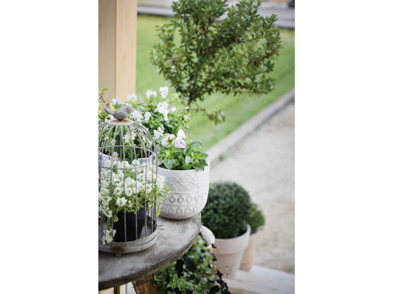 食と雑貨と植物に出会える ぬくもり溢れる複合店がOPEN!