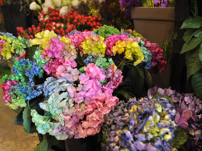 心に潤いをプラスしてくれるフラワーカフェがOPEN！