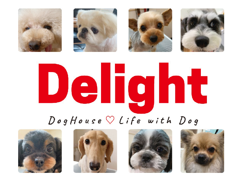 『Delight』お客様満足度・リピート率地域ナンバーワン！