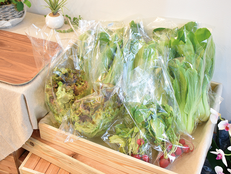 “発酵をタノシモウ”をコンセプトに手作りの発酵食品や調味料を販売